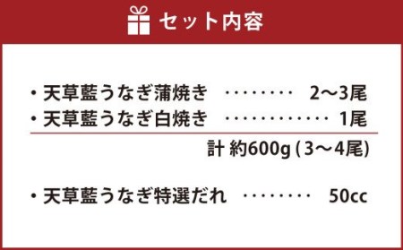 海水育ちの天草藍うなぎ 紅白 3～4尾セット（計約600g）鰻 蒲焼き 白焼き