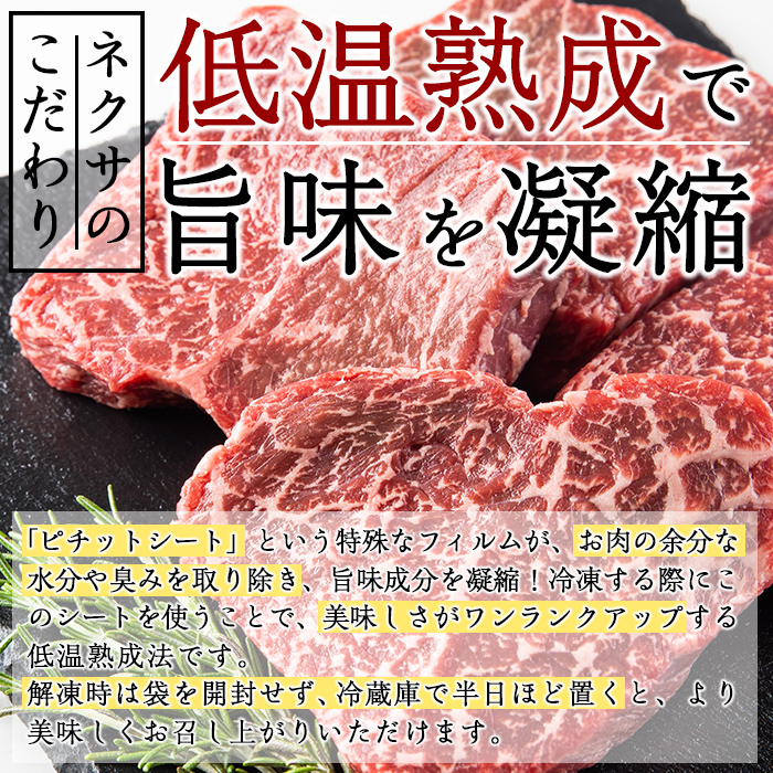 おおいた和牛 ランプステーキ (計400g・ランプステーキ約100ｇ×4枚 ステーキソース20g×4袋) 国産 牛肉 肉 霜降り 低温熟成 ステーキ A4 和牛 ブランド牛 BBQ 冷凍 大分県 佐伯市