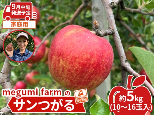 青森県鰺ヶ沢町産りんご megumi farmのサンつがる 家庭用 約5kg（10～16玉入）