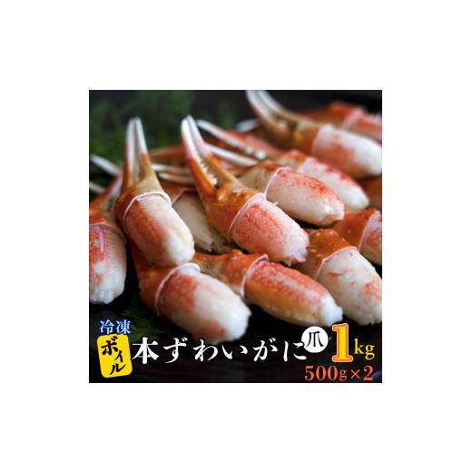 ふるさと納税 茨城県 大洗町 ボイル 本ずわいがに 爪 1kg (500g × 2) カジマ ずわい蟹 ズワイガニ ずわいがに かに カニ 蟹 かに爪 カニ爪