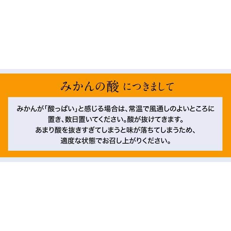 JAからつ 『うまか美人』 佐賀県産 みかん 約2.5kg×3箱 小玉 2S〜3Sサイズ　※常温 送料無料