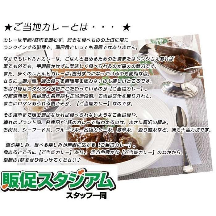 カレーギフト ご当地カレー詰合せ  有名ご当地カレーラクラクおまとめ買いご当地カレーセット30種60個