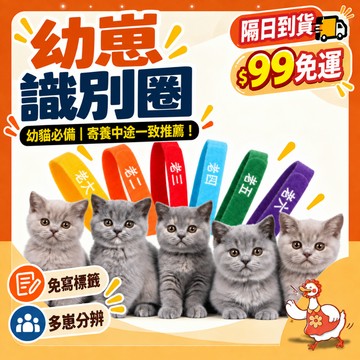 【99元免運】多隻幼崽快速分辨 魔鬼氈自由調節 幼崽識別圈 奶貓識別圈 奶犬識別圈 寵物識別圈 貓犬項圈 多寶分辨圈