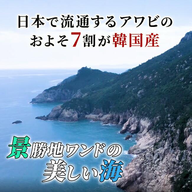 活アワビ 韓国 養殖 海鮮 魚介 魚介類 貝 あわび 高級 韓国産 養殖活エゾアワビ 100gサイズ 10粒入