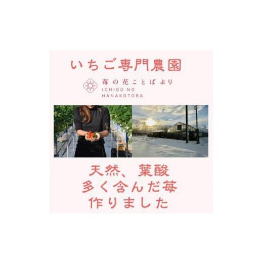 ふるさと納税 新潟県 上越市 いちごの定期配送　雪国完熟いちご越後姫170g×2全3回