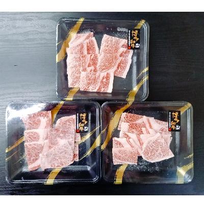 ふるさと納税 田川市 博多和牛　すき焼き用もも焼肉用肩ロース 2種セット (計約900g)(田川市)