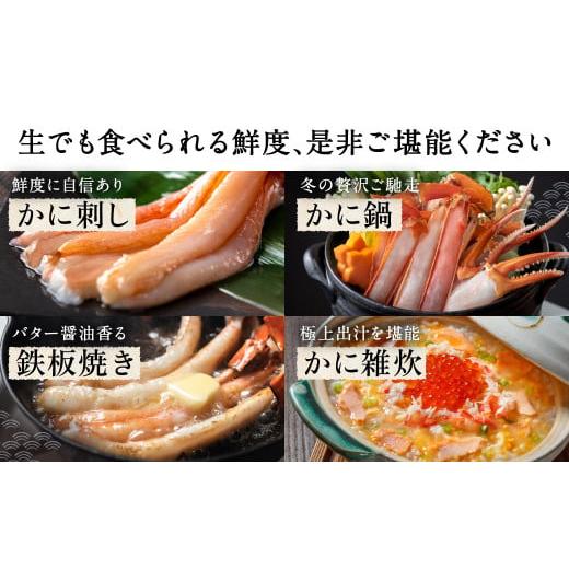 ふるさと納税 福井県 越前市 刺身もOK！越前産 カット済み紅ズワイガニ600g＜熨斗も可＞カニポーション（ハーフ）足棒 かに肩 蟹爪 爪下　の…