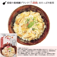 混ぜ込みご飯の素 骨までおいしく食べられる「たいめし」「ぶりめし」 2合用 各170g ×2 合計 4個 セット 愛媛 国産