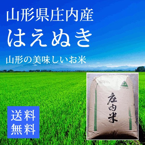 新米 はえぬき 山形県庄内産 2等米 玄米24kg 令和5年産 お米 コメ