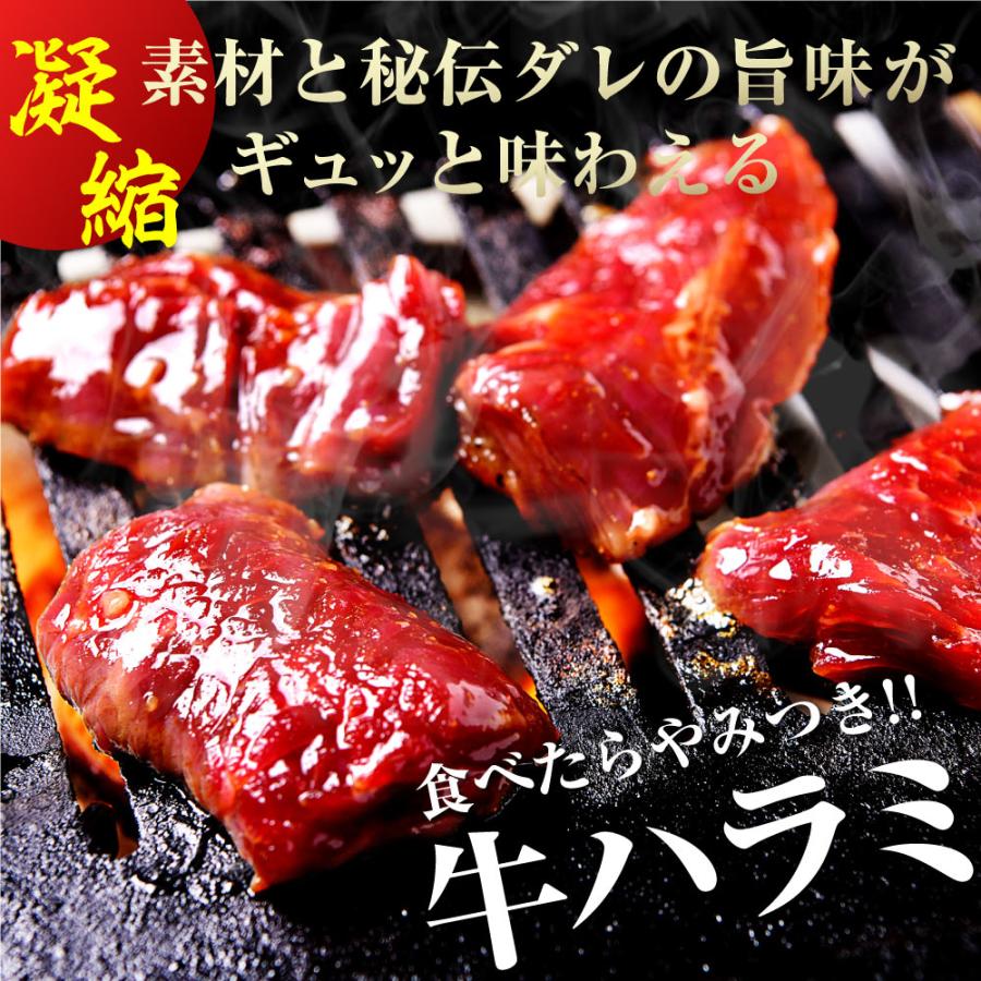 焼肉 セット 肉 牛肉 柔らか ハラミ タレ漬け メガ盛り 1kg 冷凍 食品 BBQ バーベキュー お取り寄せ グルメ