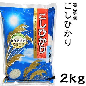 米 日本米 Aランク 令和4年度産 富山県産 こしひかり 2kg