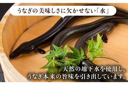 こだわりの国産うなぎ蒲焼・白焼 計6枚セット（うなぎ蒲焼3枚・白焼3枚）×12回 [FAD012]