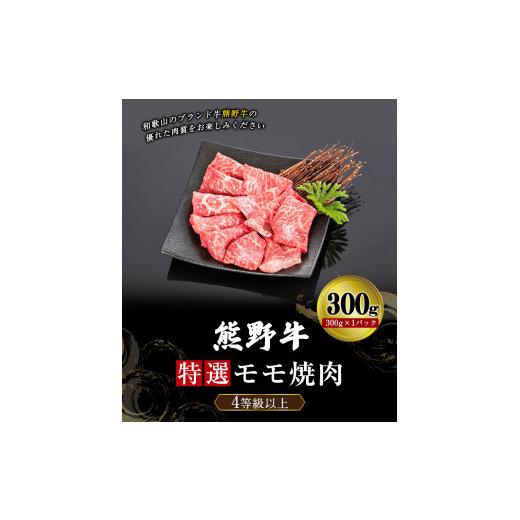 ふるさと納税 和歌山県 岩出市 「熊野牛」特選モモ焼肉300g 4等級以上 株式会社松源《30日以内に順次出荷(土日祝除く)》和歌山県 岩出市