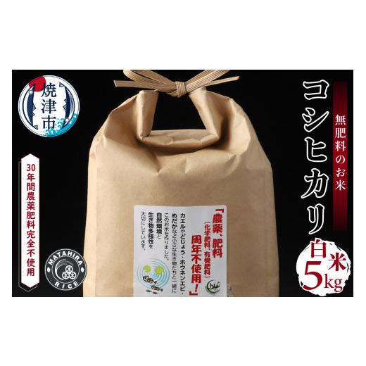 ふるさと納税 静岡県 焼津市 a21-037　令和5年産新米 30年間無農薬・無肥料のお米（白米）コシヒカリ5kg