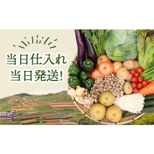 ふるさと納税 長崎県 南島原市 野菜定期便 フルーツ・きのこセット「12回（毎月）」お届け 定期 詰め合わせ フルーツ 定期 旬 きのこ 柑橘 ぶど…