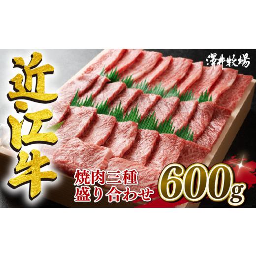 ふるさと納税 滋賀県 竜王町 近江牛 焼肉 霜降り 赤身 盛り合わせ 600g 冷凍 黒毛和牛 和牛 牛肉 牛 ふるさと納税 ブランド 三大和牛 贈り物 ギフト 国産 滋賀…