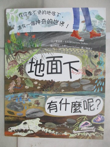 【書寶二手書T9／少年童書_EDU】地面下有什麼呢？：在你看不見的地底下，還有一個神奇的世界！_夏綠蒂‧吉利安,  張靖之