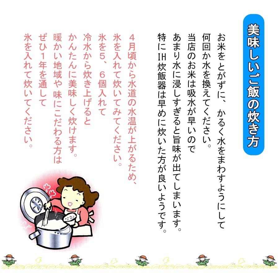 [精米] 新米 新潟県産 コシヒカリ 箱入り 2kg 10箱 白米 新潟辰巳屋 令和5年産