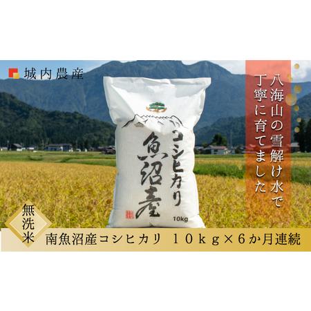 ふるさと納税 新米 令和５年 南魚沼産コシヒカリ　無洗米１０ｋｇ＜５割減農薬栽培米＞　城内農産 新潟県南魚沼市