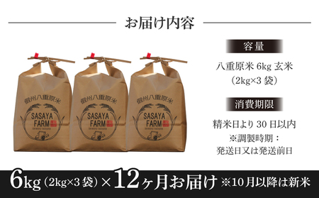 八重原米６kg（２kg×３袋）玄米