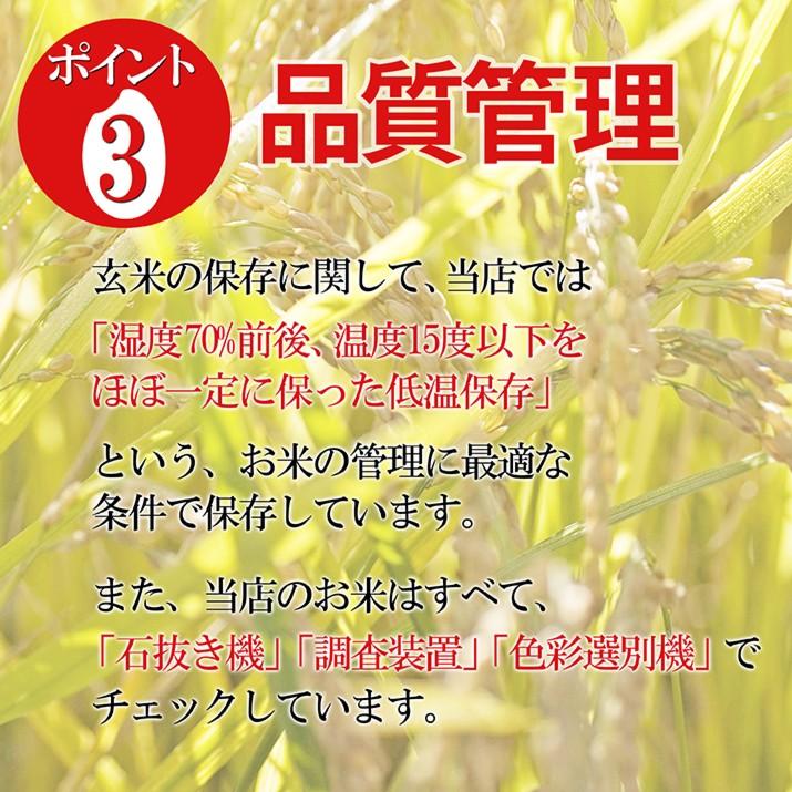 令和5年産 2023 新米 山形県産 こしひかり 白米 30kg(5kg×6袋) 特Ａ米 精米 一等米 ギフト 産地直送 通販 ブランド米 東北の米 送料無料