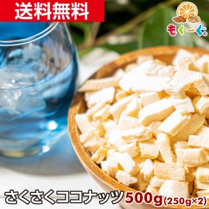 友口 魅惑のさくさくココナッツ 500g(250g×2袋) ドライ チップ ココナッツチャンク ロースト 焼きココナッツ お菓子 送料無料 チャック