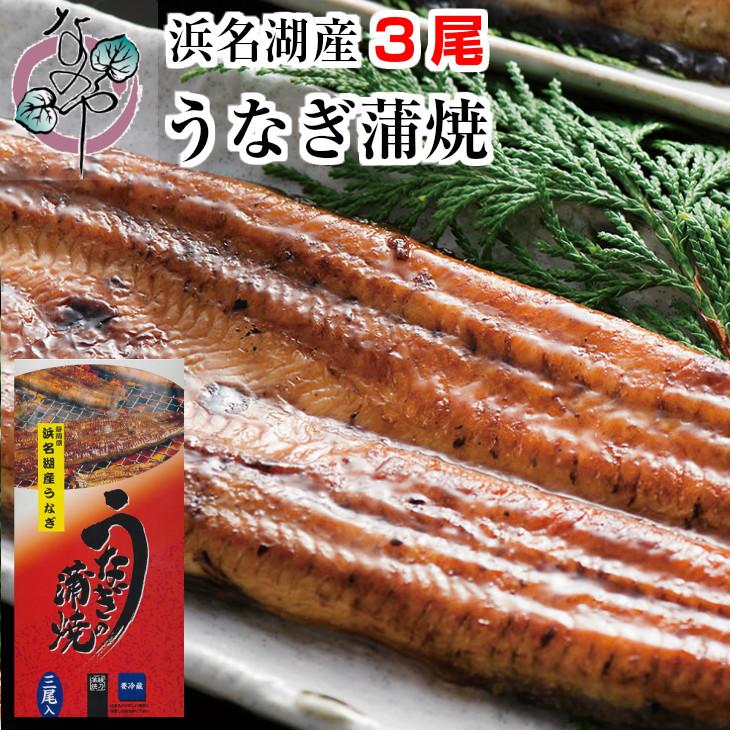 うなぎ 蒲焼 140g×3尾入り 3〜4人分 浜名湖産 送料無料 国産 ギフト お祝い 内祝 浜名湖 土用の丑の日 お取り寄せ グルメ プレゼント 鰻 ウナギ かば焼  贈答