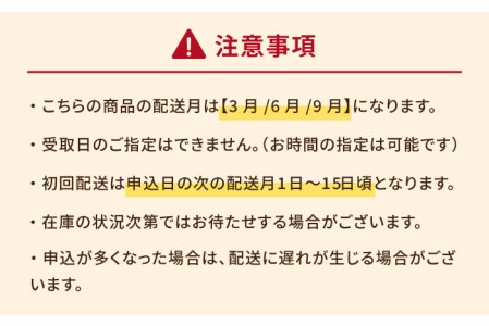 こだわりの五島ハヤシ10箱セット 化学調味料・着色料不使用 創作郷土料理いつき 五島産 牛肉 野菜五島市 出口さんご[PBK019]