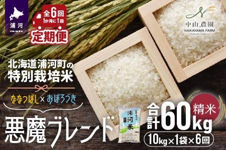 北海道浦河町の特別栽培米「悪魔ブレンド」精米(10kg×1袋)定期便(全6回)[37-1223]