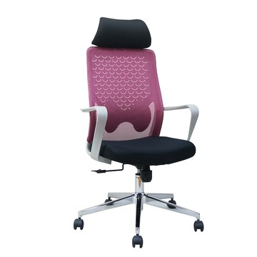 台灣製造 SGS認證 人體工學透氣網背辦公椅附枕頭-紅（124*62*50cm）_廠商直送