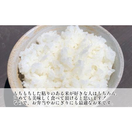 ふるさと納税 千葉産 令和5年  ミルキークィーン 白米 10kg（5kg×2） 千葉県千葉市