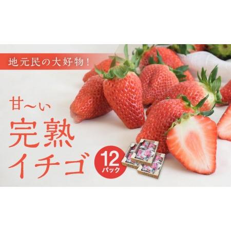 ふるさと納税 地元民の大好物「ありなしファーム」の甘〜い完熟イチゴ(12パック) 兵庫県赤穂市