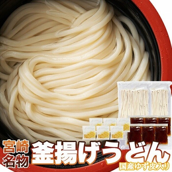 宮崎名物釜あげうどん6食セット (300g×2袋)  ゆうメール便発送 送料無料