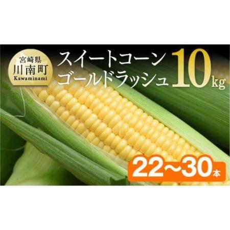 ふるさと納税 2024年発送 朝どれ！守部さんちのスイートコーン（ゴールドラッシュ）10kg（２２〜３０本）【 先行予約 数量限定 期間限定 とうも.. 宮崎県川南町