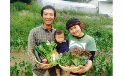 野菜 セット おまかせ 長野県松本市産 Sサイズ ～ 8品目