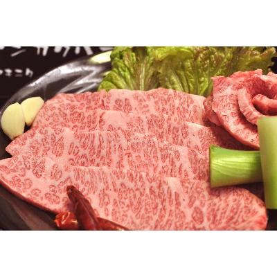 ふるさと納税 小田原市 相州黒毛和牛肩肉焼肉用　250g×2パック