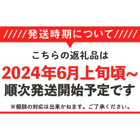 ふるさと納税 12-25茨城県産大玉すいか1玉（約6〜7kg） 茨城県下妻市