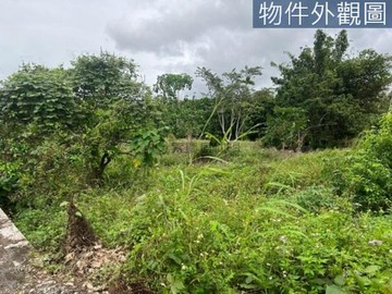 瑞穗近瑞北國小超低總價建地 18E057｜花蓮縣瑞穗鄉瑞北