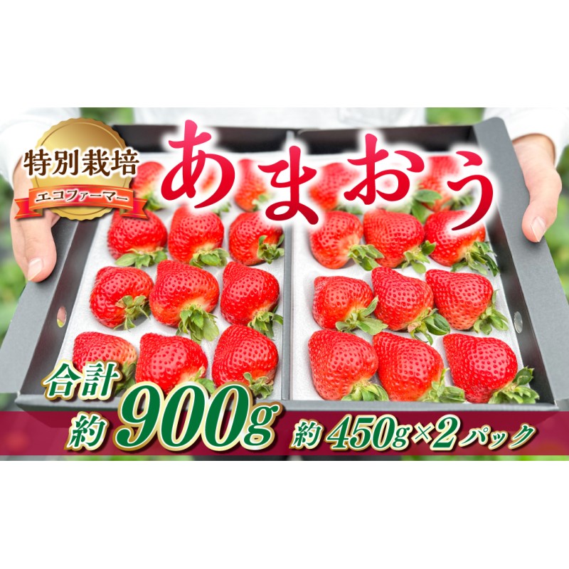 いちご　約450g×2P　特別栽培　果物　フルーツ　あまおう　2023年12月上旬発送開始】ギフト配送　LINEショッピング　福岡県産　EX　福岡県産　福岡