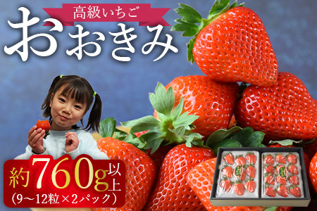 ＜高級いちご「おおきみ」（9～12粒×2パック 合計約760g以上）＞2024年1月中旬～4月末迄に順次出荷