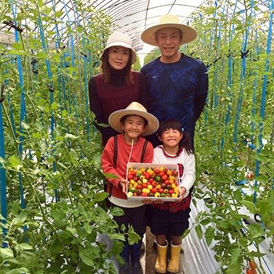 ふるさと納税 玉名市 サザキ農園のミックスミニトマト彩りバラエティーセット3kg