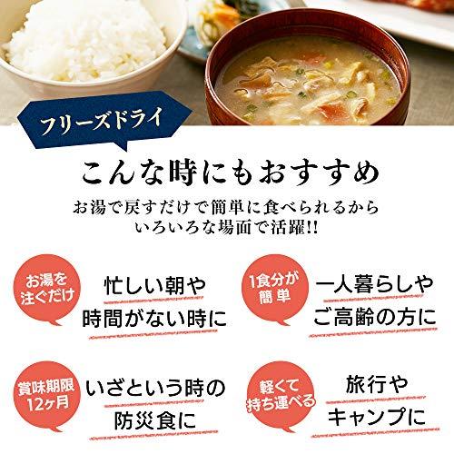 アイリスオーヤマ みそ汁 すぐおいしい味噌汁 フリーズドライ とん汁 5食 ×10個