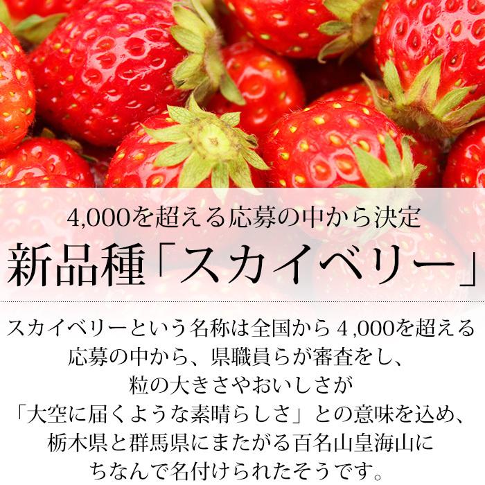 いちご 栃木県産 スカイベリー G 4パック（約280g 1パック）