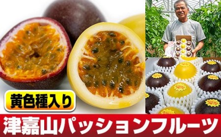 津嘉山パッションフルーツ　黄色種入り　約1kg