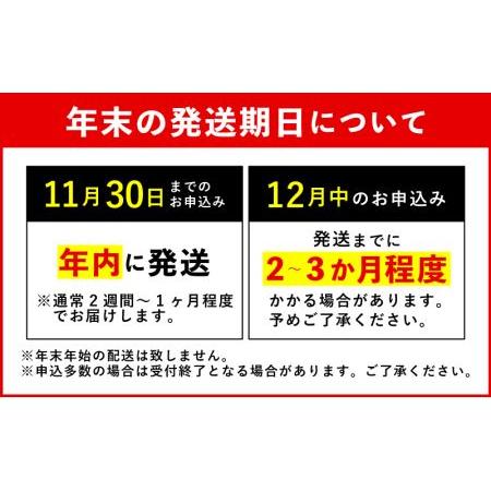 ふるさと納税 佐賀牛切落し600g(300g×2パック) NK0035 佐賀県大町町