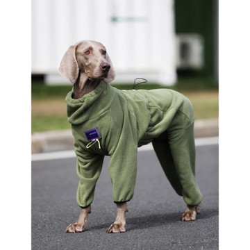 狗狗衣服大型犬秋冬加絨加厚金毛拉布拉多寵物潮牌帥氣保暖四腳衣