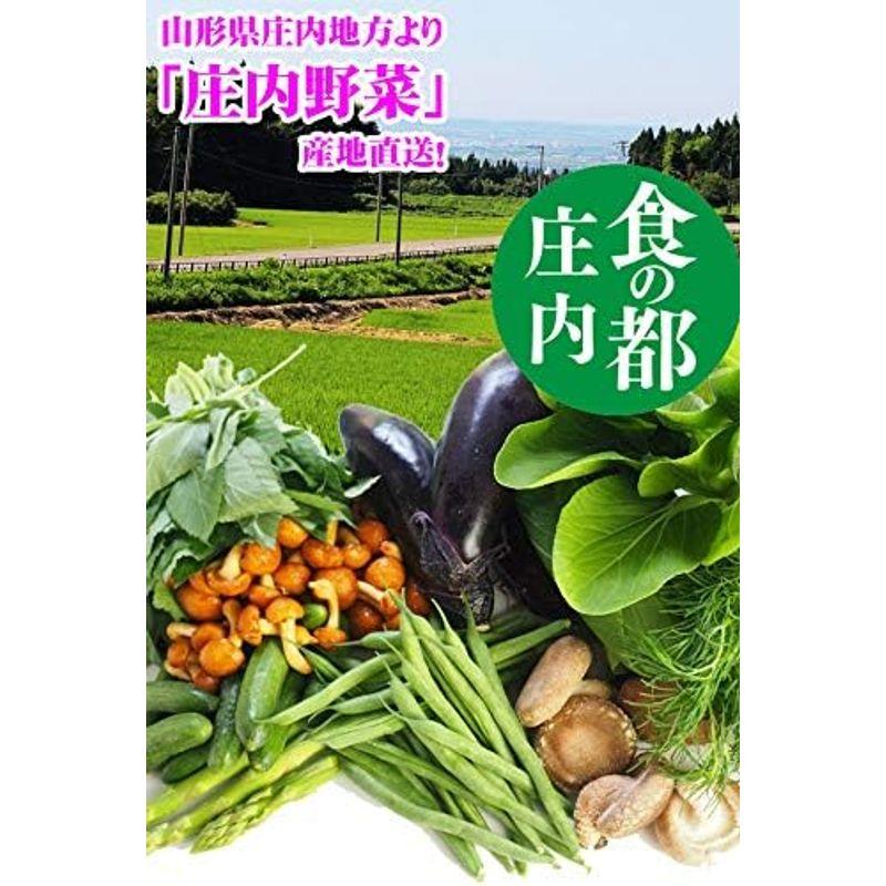 庄内 野菜セット 8品 おまかせ 山形県庄内産 野菜詰め合わせ