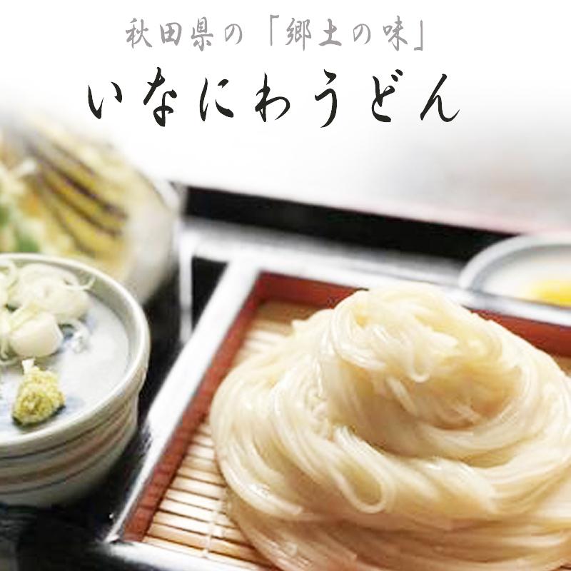 稲庭うどん 10kg (500g×20袋) 訳あり 切り落とし 切上 秋田名産 手作り 送料無料 いなにわうどん 稲庭饂飩 [稲庭うどん切上２０袋] 即送