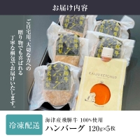 海津市産ハンバーグ5枚（オリジナルソース付）藤太　冷凍　小分け　はんばーぐ　肉　洋食　簡単調理　人気　子供　手軽　ギフト　贈り物　和牛　国産