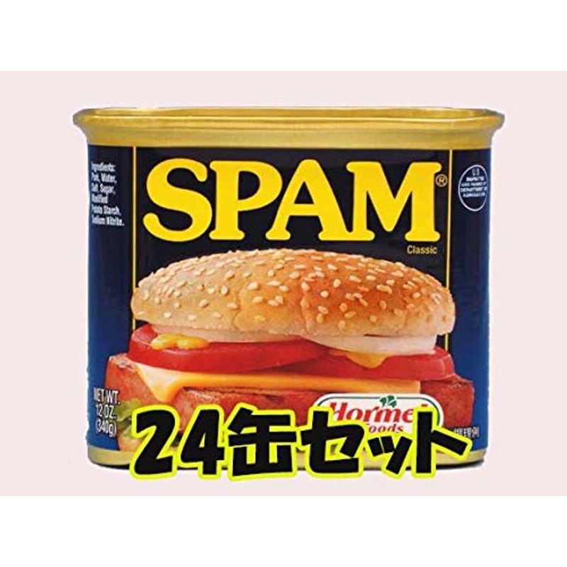 スパム(レギュラータイプ 24缶セット) (24)